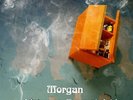 Morgan (6) Non Al Denaro Non All'Amore NÃ¨ Al Cielo LP, Album, RE Sony Music,...