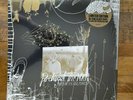 Portugal the Man WAITER YOU VULTURES 180G Limited Vinyl LP Fearless