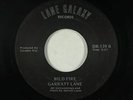 Folk SSW 45 - Garratt Lane - Wild Fire - Galaxy Lane - mp3 - obscure
