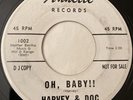 Harvey & Doc with The Dwellers Oh Baby  45 Promo Annette Garage Surf Rockabilly