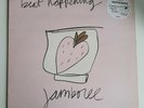 Beat Happening - Jamboree - Vinyl LP Album - 53rd & 3rd