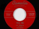Doo-Wop 45 - Idols ft. Mike Harmon - Tell Me - Camelia - mp3 - obscure