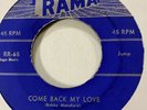 Rare Doo Wop 45   The Wrens   Come Back My Love/ Begging For Love  VG++