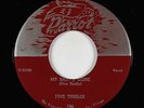 Doo-Wop 45 - Five Thrills - My Baby's Gone - Parrot - VG+ mp3 - rare OG
