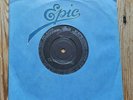 The Chameleons In Shreds promo  7