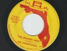 GARAGE - UNDERTAKERS- SEARCHING / THE REASON WHY - HEAR -1967 FLORIDA PINE HILLS