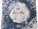 bears den Islands SIGNED vinyl