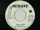 Garage Fuzz 45 - Basement Wall - Never Existed - Senate - mp3