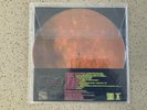 The Flaming Lips ‎The Time Has Come To Shoot You Down... What A Sound LP MINT