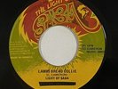 Light Of Saba 