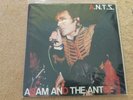 Adam and the Ants - A.N.T.Z - Mega rare vinyl