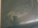 Panasonic Kulma - 1st Edition 1997 Blast First Pan sonic-Elektro, Minimal, Noise