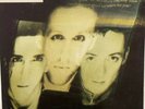 THE WILD SWANS Bringing Home the Ashes LP EX 1988 Sire U.S. 