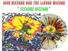 King Gizzard & the Lizard Wizard Teenage Gizzard Splatter Colored Vinyl LP