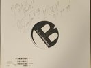 THE FLESHTONES - BUDGET BUSTER (AUTOGRAPHED) [WHITE LABEL TEST PRESSING]