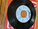 The Penetraters What Went Wrong Fenton records Rare Garage