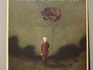 Hidden In Plain View - Life In Dreaming Vinyl Bronze Rose Color Variant
