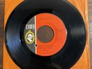 EVIE SANDS Picture Me Gone / It Makes Me Laugh CAMEO 1966 VG RECORD Vinyl