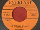 The Charts - I Told You So / All Because Of Love - Everlast - RARE DOOWOP 45