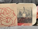All Get Out No Bouquet Vinyl LP Record Limited Edition Pink Black Colored /200