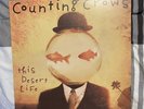 Counting Crows - This Desert Life Vinyl 2xLP