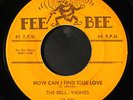 DELL VIKINGS: come go with me / how can i find true love FEE BEE 7