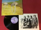 Sand  – Head In The Sand  *1976:Vinyl (VG+) Ostrich OST-0001 *Portland Oregon