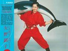 Akiko Yano Iroha Ni Konpeitou Ltd 1LP Vinyl 2019 Wewantsounds WWSLP18