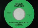 Crossover Soul 45 - Guitar Ray - You're Gonna Wreck My Life - Shagg - mp3