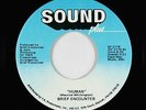 Modern Soul Funk 45 - Brief Encounter - Human - Sound Plus - VG++ mp3