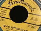rare rocker steve carpenter you’re putting me on Brunswick vg++
