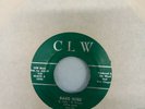 45 LITTLE ELLIS & THE L7's BARB WIRE / SAY HEY Rockabilly surf intro CLW VG++
