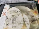 Pale Saints - Mrs. Dolphin green marbled vinyl Lp