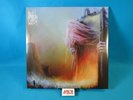 Bell Witch Mirror Reaper 2xLP Vinyl Orange 2018 Profound Lore Records PFL191LP