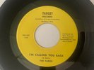 Rare Garage 45/ The Faros 