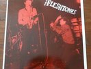 THE FLESHTONES F-Tones Live In 1984 (Rare 80s Garage/Power Pop Lp/Peter Zaremba)