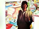 Al Stewart - Year Of The Cat - VINYL  Orig Master Recording - MFSL 1-009 - 1976