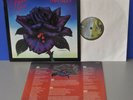 Thin Lizzy Black Rose UK 1st press '79 +OIS Vinyl LP looks VG+ plays ex  cleaned