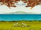 Joan Shelley : Like the River Loves the Sea (12