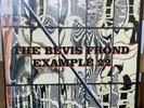BEVIS FROND - Example (2015) Double Vinyl LP in Excellent Condition