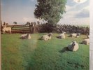 THE KLF - Original 1990 Jams Chill Out Album vinyl LP5. RARE.