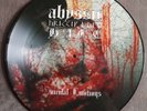 Black Metal Picture LP Bundle - Abyssic Hate - Borknagar - Enthroned- Isegrim