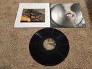 The Mountain Goats - The Sunset Tree Vinyl LP RARE and Out of Print