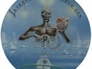 Seventh Son Of A Seventh Son Iron Maiden picture disc LP vinyl