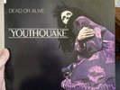 Dead Or Alive “Youthquake” VINYL, BFE 40119 First Pressing 1985 PERFECT