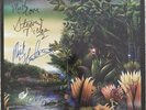 Fleetwood Mac signed Tango in the Night rare Vinyl LP see description