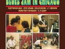 BLUES JAM IN CHICAGO: VOLUME TWO
