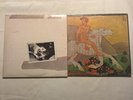 1979 Fleetwood Mac Tusk Vinyl Record Warner Bros 2HS 3350 EX/EX And Then Play On