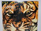 SURVIVOR Signed Autograph  