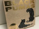 Black Pumas, 7
